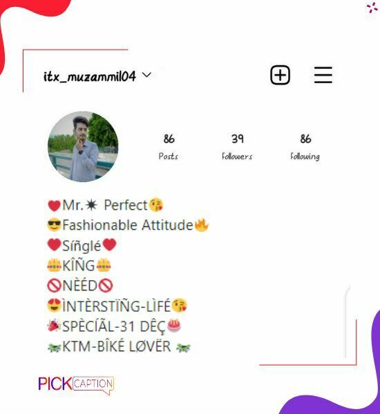 Best attitude Instagram bio with emojis copy and paste