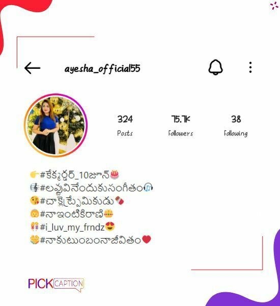 Best attractive instagram bio for girls with emoji in telegu