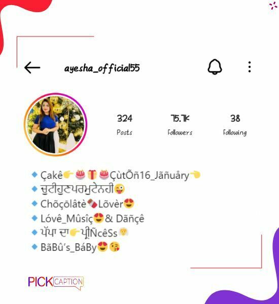 Best bio for instagram for girls in punjabi stylish font