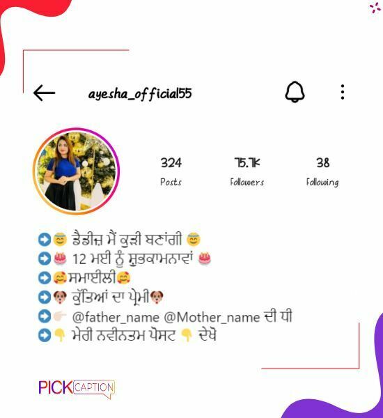 Best cool bio for instagram for girls in punjabi
