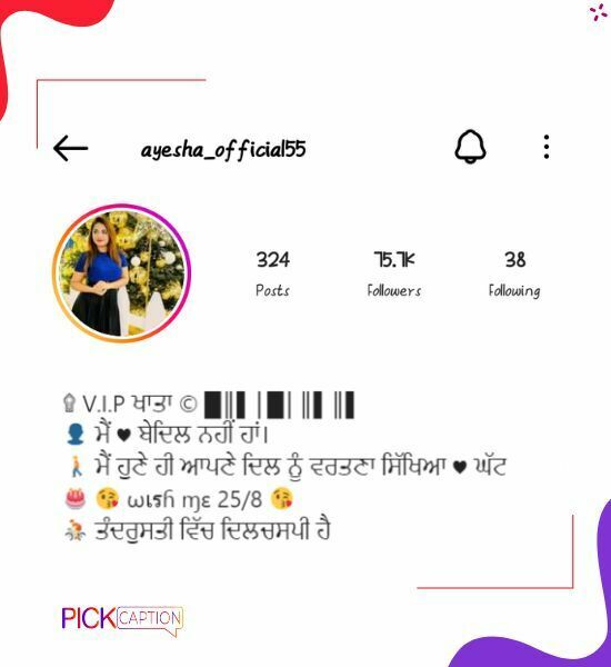 Best vip bio for instagram for girls in punjabi