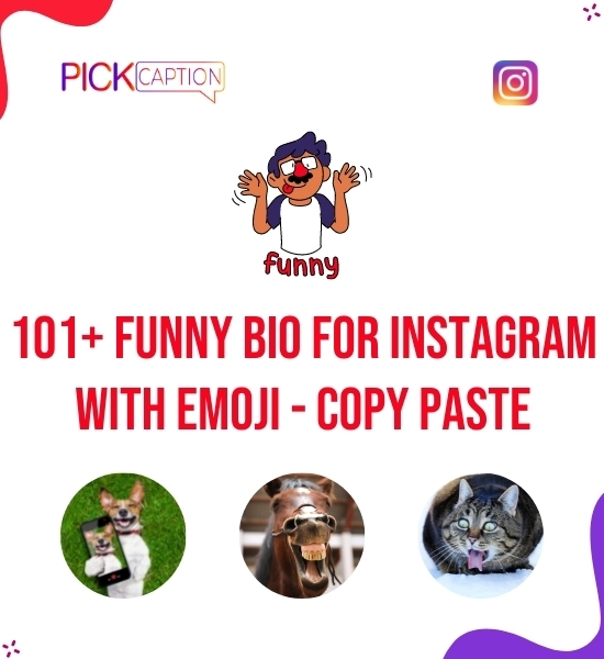 Funny Bio For Instagram With Emoji