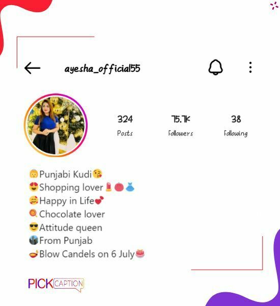 bio for instagram for girls in punjabi