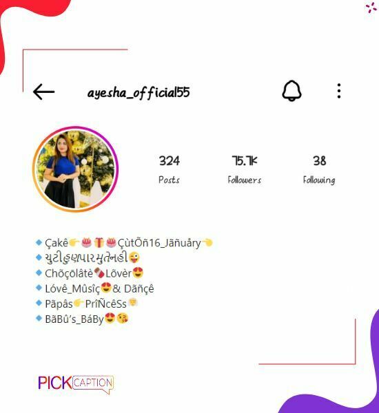 Best instagram bio for girls in gujarati stylish font