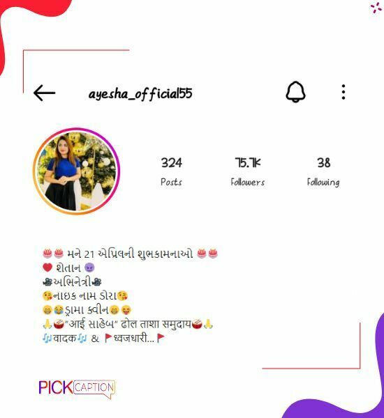 Dangerous instagram bio for girls in gujarai