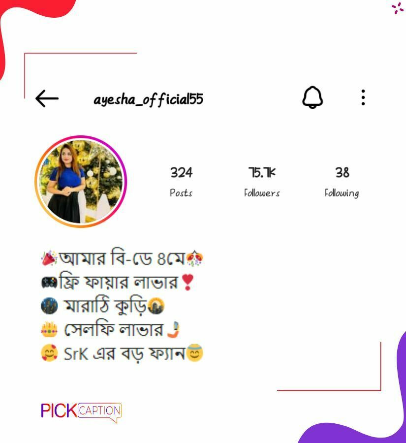 dangerous instagram bio for girls in bengali