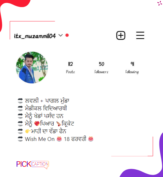 Best instagram bio for boys in punjabi