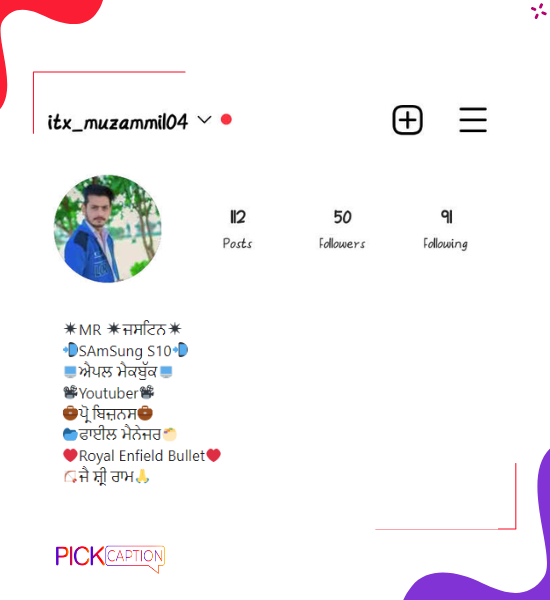 Best unique instagram bio for boys in punjabi
