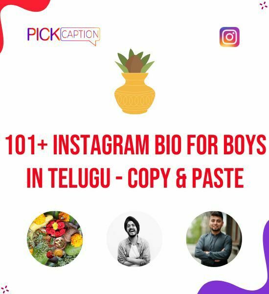 Instagram Bio for boy in Telugu