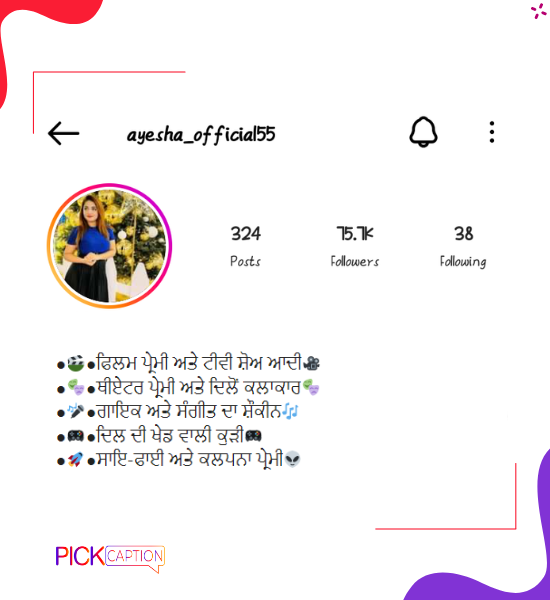 Best attitude instagram bio for single girls in punjabi