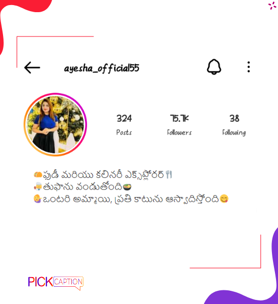 Best unique instagram bio for single girls in telegu