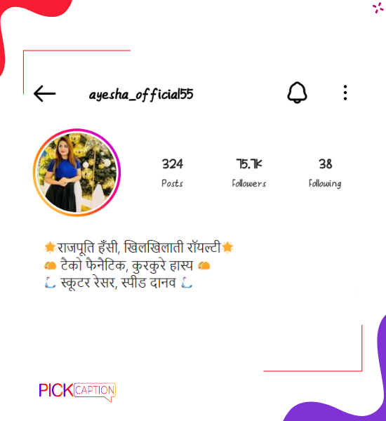 Best funny instagram bio for rajput girls in hindi