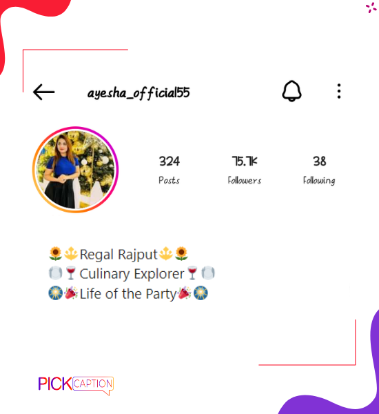 Best instagram bio for rajput girls with emoji