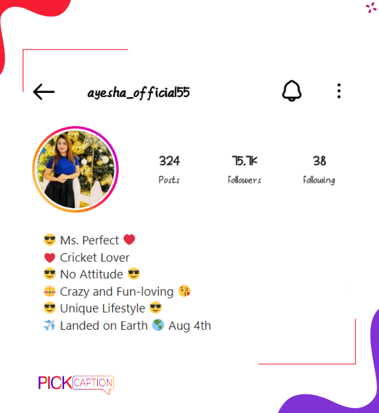 Cool instagram bio for rajput girls