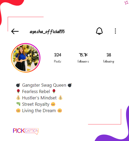 swag Gangster bio for instagram for girls